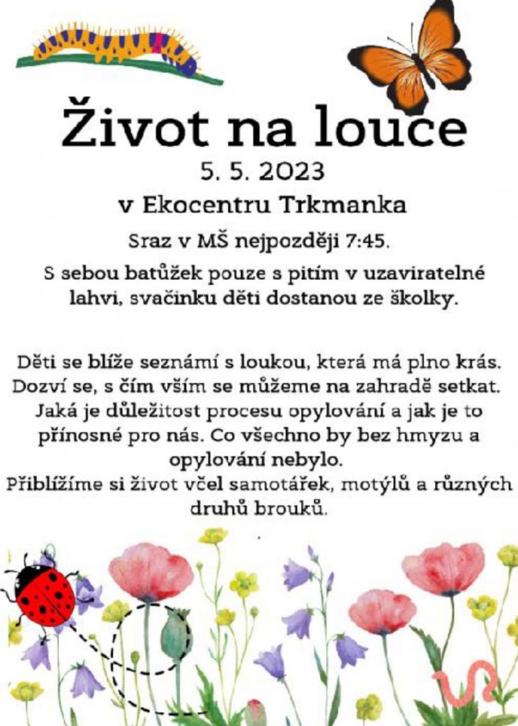 Život na louce.